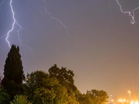 Branching lightning struck a large coniferous tree. Street lights are glow in Stock Photos