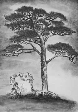 Branchy pine tree Stock Illustration