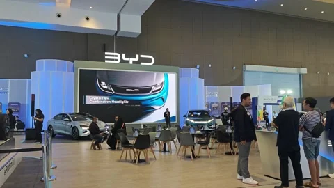 Brand BYD booth Stock Footage 300356008