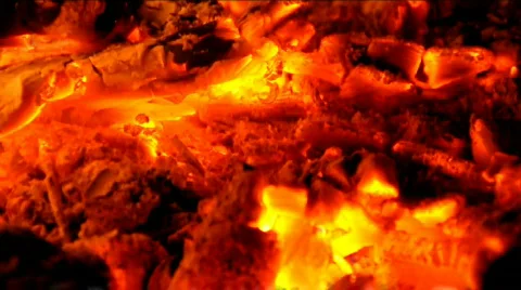 Brand 스톡 동영상 523177