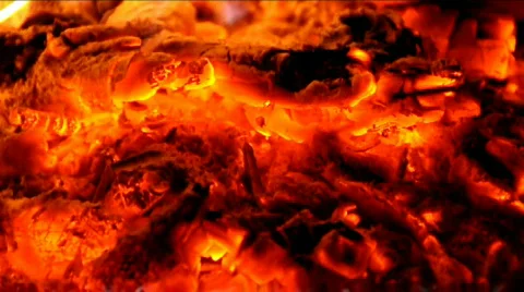 Brand 스톡 동영상 523459