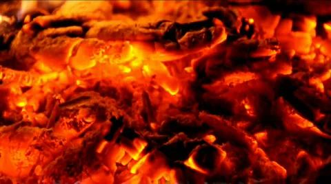 Brand 스톡 동영상 523483