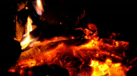 Brand 스톡 동영상 523498