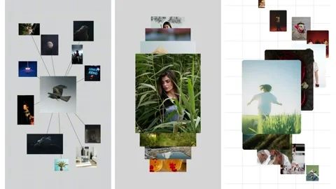 Brand Showcase Vertical Stock After Effects