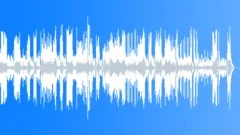 Brandenburg Concerto No.4 in G major, BWV 1049 Andante BachStock Music