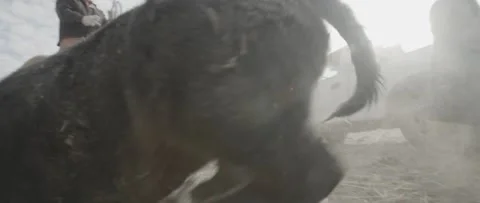 Branding 1 Stock Footage 238405434