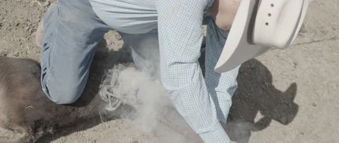 Branding Stock Footage 238405391