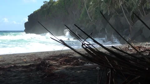 Brandung an einem dunklen Vulkanstrand mit tropischer Steilküste Video stock 331933966