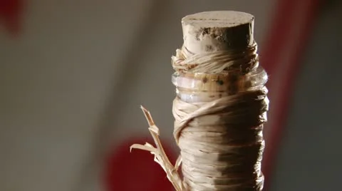 Brandy, tilt down Video stock 12722484