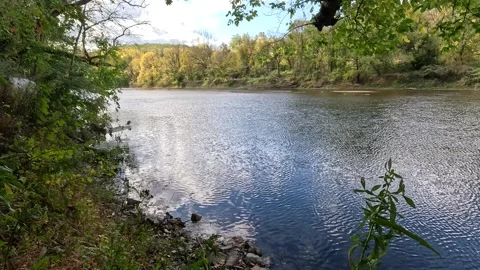 BrandyWine Creek State Park Stock Footage 288138052