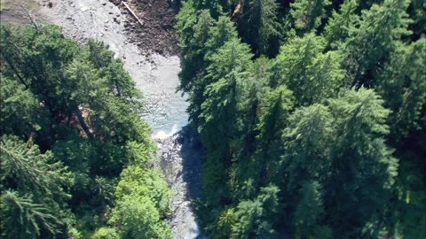 Brandywine Falls: approaching ammonite waterfall with rainbow 004 Stock Footage 145737655