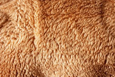 Branket brown texture. Textile background. Stock Photos
