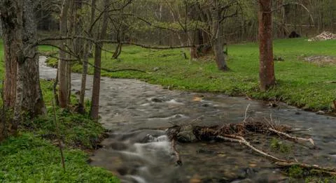 Branna river in spring cloudy evening with fresh green grass Foto stock