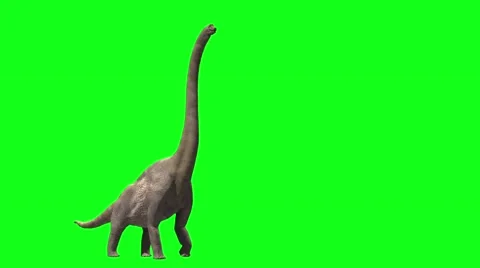 Braquiossaurus Stock Footage 50563097