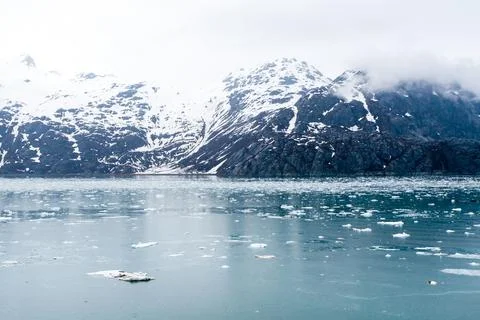 Brash ice floating in Glacier Bay National Park, Alaska 库存照片