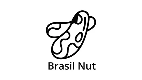 Brasil nut icon animation Stock Footage 152643314