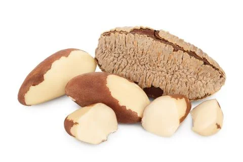 Brasil nuts in nutshell isolated on white background with clipping path and full Stock Photos