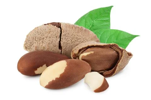 Brasil nuts in nutshell isolated on white background with clipping path and full Stock Photos