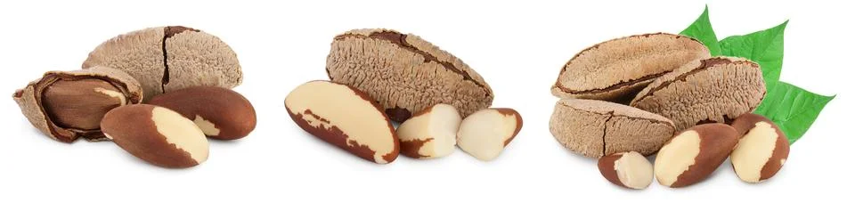 Brasil nuts in nutshell isolated on white background with clipping path and full Foto stock