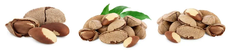 Brasil nuts in nutshell isolated on white background with clipping path and full Stock Photos