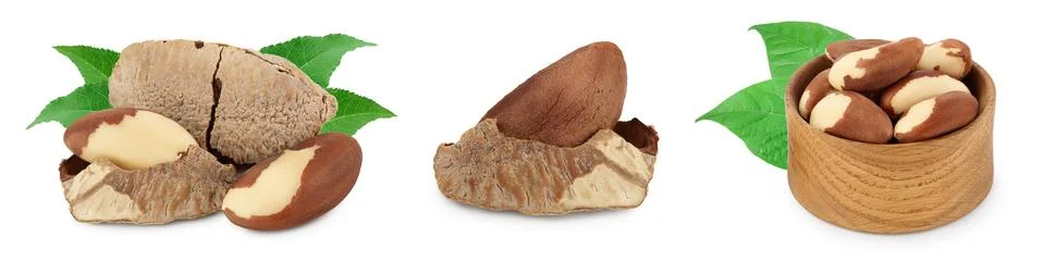 Brasil nuts in nutshell isolated on white background with clipping path and full Stock Photos