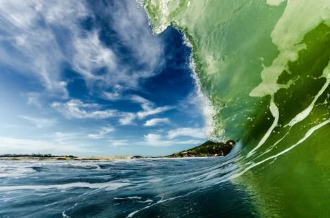 Brasilis Stock Photos