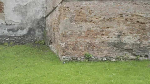 Brasov Citadel Video stock 275518165