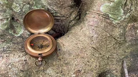 A brass compass among the roots of a tree as a symbol of travel Stock Photos