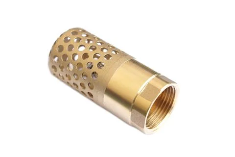 Brass cylindrical pipe strainer with perforated filter body and threaded connect Stock Photos