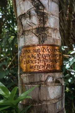 Brass dedication plaque on palm tree at Coco Palm resort, Maldives Stock Photos