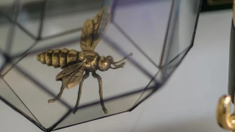 Brass fly Stock Photos