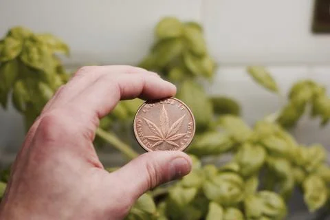 Brass marijuana coin Stock Photos