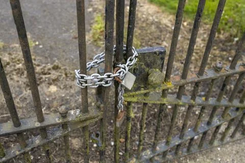 Brass padlocks and chain locking black rusty wrought iron park gate Stock Photos