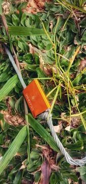 Brass security seal Fotos Stock