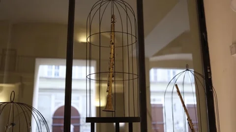 A brass wind instrument displayed in an artistic metal cage. The creative setup  Stock Footage 293564063