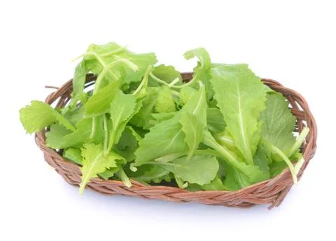 Brassica juncea leaves Stock Photos