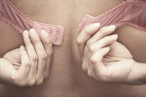 Brassiere Stock Photos
