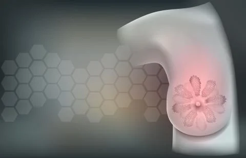 Brast anatomy Illustrazione stock