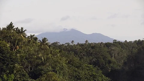 Bratan mountain view through the jungle, Bali island Stock Footage 123995222
