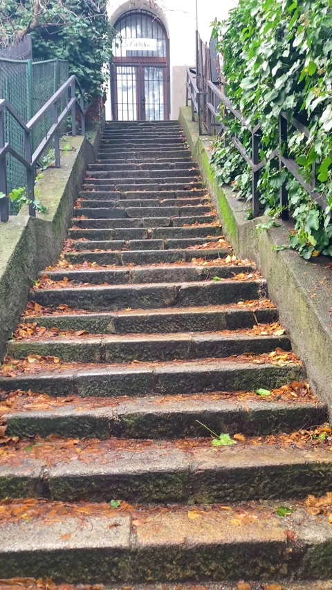 Bratislava Castle is massive rectangular building with four corner towers 스톡 동영상 300294523