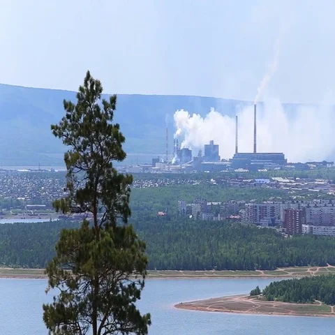 Bratsk Timber Processing Complex Stock-Footage 69556098