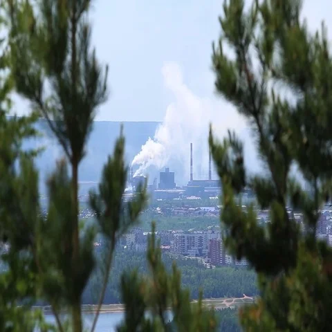 Bratsk Timber Processing Complex Video stock 69557000