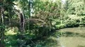 Braunschweig city river pan with big green trees at sunny day 4k or 4k+ Resolution