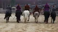 Brave actors in medieval costumes practicing horse-riding before performance HD Footage