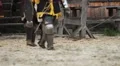 Brave knights preparing for training before fight. Team spirit, togetherness HD Footage