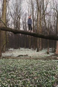 Brave lady standing on tree trunk over glade scenic photography Stock Photos