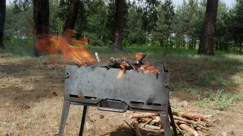Brazier barbecue grill in forest 4k Stock Footage 89701491