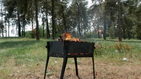 Brazier barbecue grill in forest 4k Stock Footage 89702036