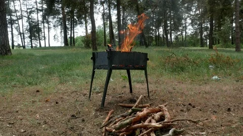 Brazier barbecue grill in forest 4k Stock Footage 89702286