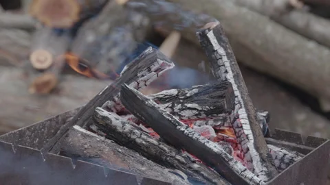 Brazier full of burning long cut wood. image outdoors in a home garden Stock Footage 211876315
